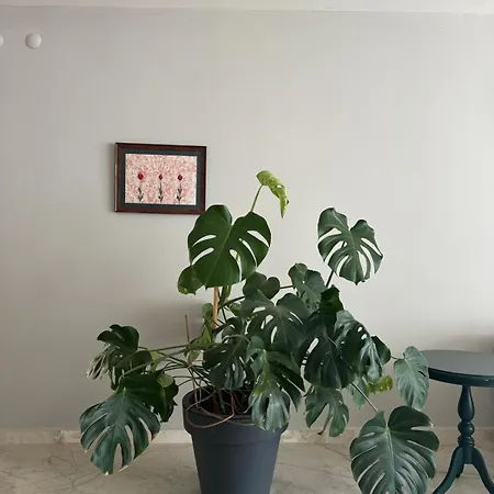 別荘 Suna Summer House *