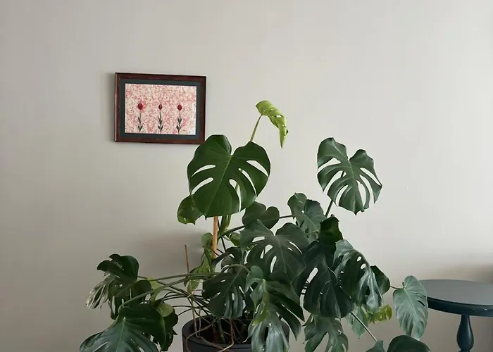 Holiday home Suna Summer House *